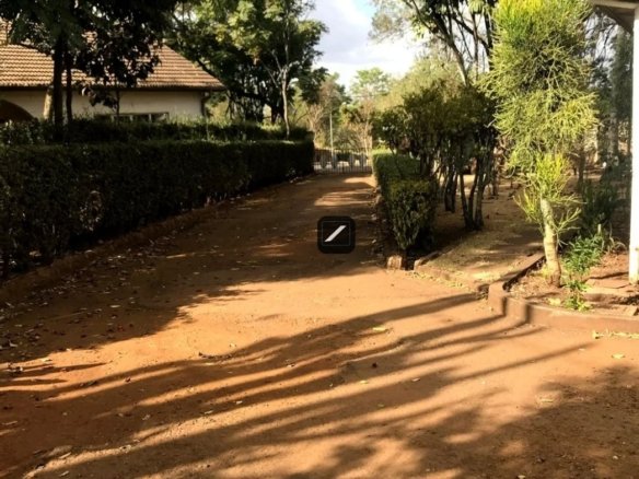 Imgi 26 WhatsApp Image 2024 02 25 at 19.15.07 1170x785