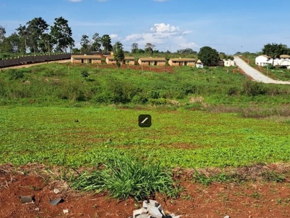 Imgi 26 WhatsApp Image 2024 04 26 at 22.15.59 901x785