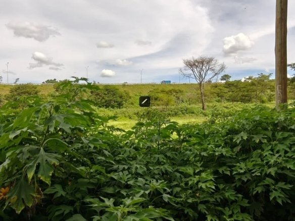 Imgi 26 WhatsApp Image 2025 04 23 at 4.17.45 PM2 900x785