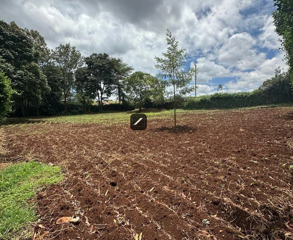 imgi_27_WhatsApp-Image-2024-03-14-at-15.13.11-960×785