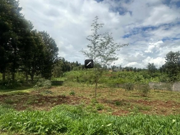 Imgi 27 WhatsApp Image 2025 03 27 at 9.32.44 PM8 1170x785