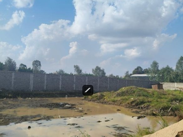 Imgi 29 6db85a55 1a90 409c a0b5 d051e9959f78