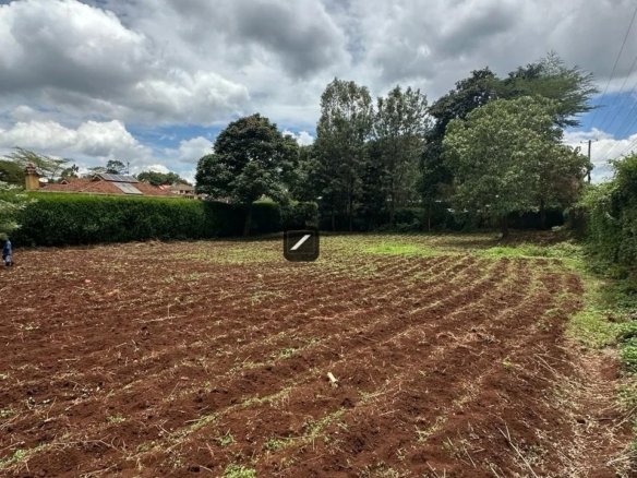 Imgi 29 WhatsApp Image 2024 03 14 at 15.13.12 2 960x785