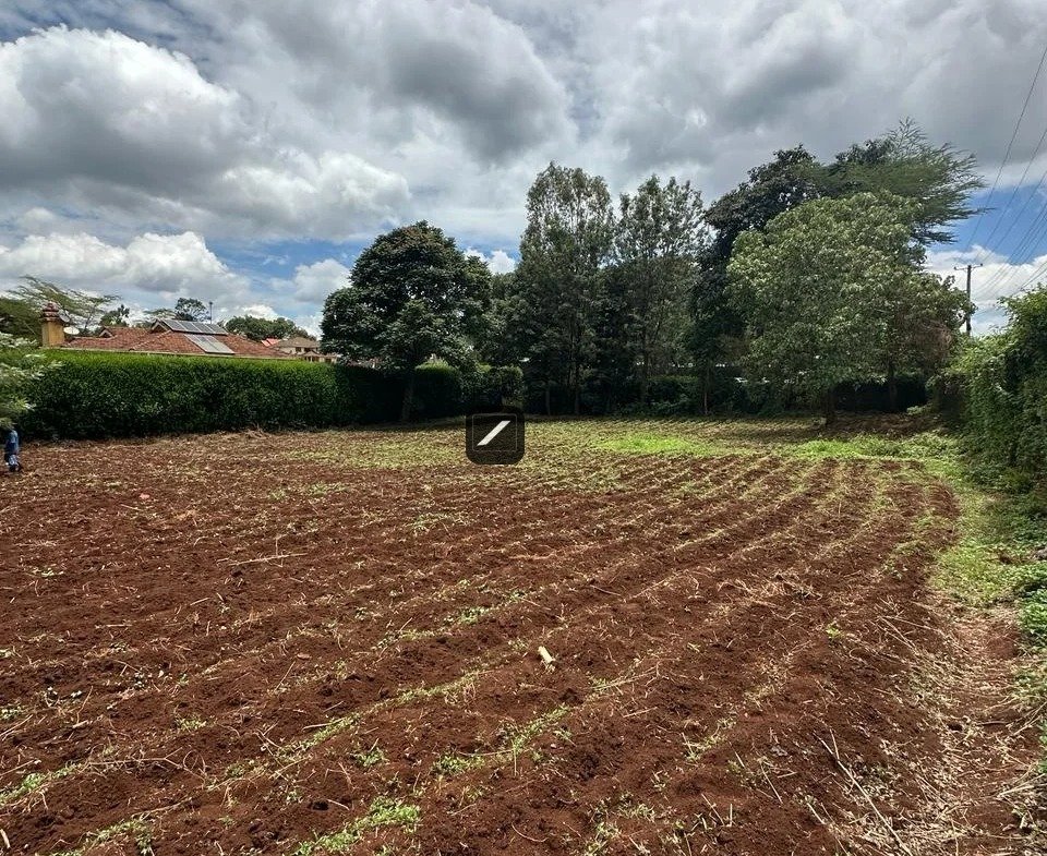 imgi_29_WhatsApp-Image-2024-03-14-at-15.13.12-2-960×785