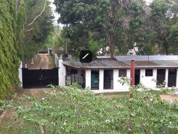 Imgi 29 b26a135a f2c1 4f7f b9d8 60f6a91a8867