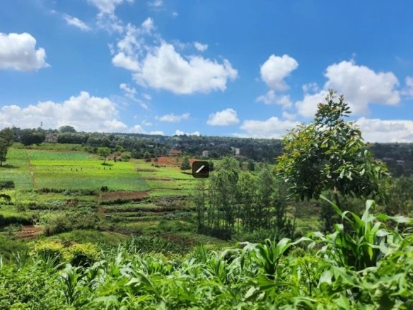 Imgi 2 IMG 20250311 WA0022 1170x785