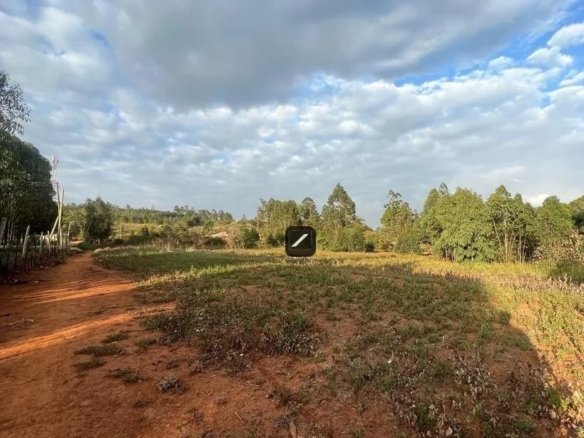 Imgi 2 WhatsApp Image 2023 10 11 at 19.32.08 1 819x785