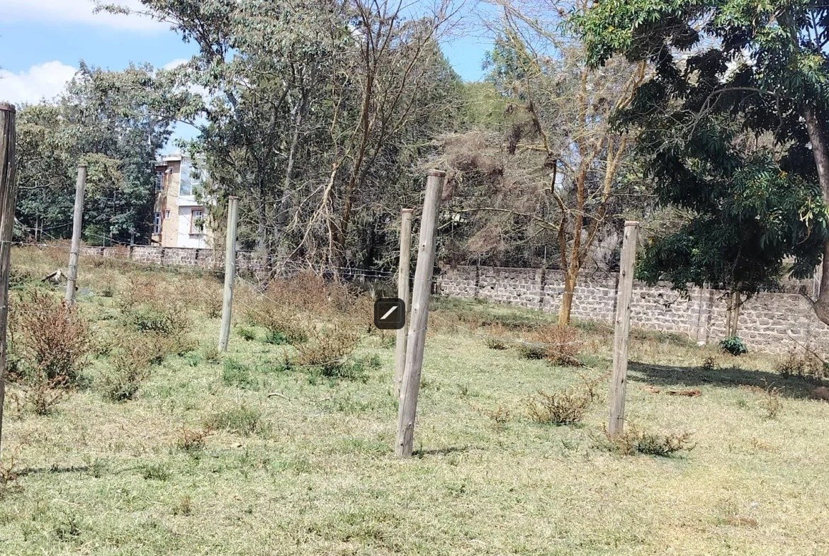 imgi_2_WhatsApp-Image-2023-10-19-at-11.37.10-1170×785