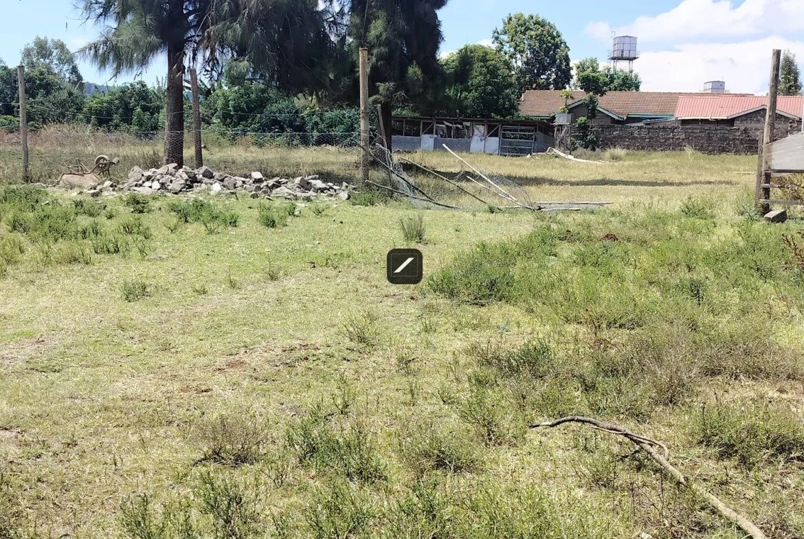 imgi_2_WhatsApp-Image-2023-10-19-at-11.37.12-1-1170×785