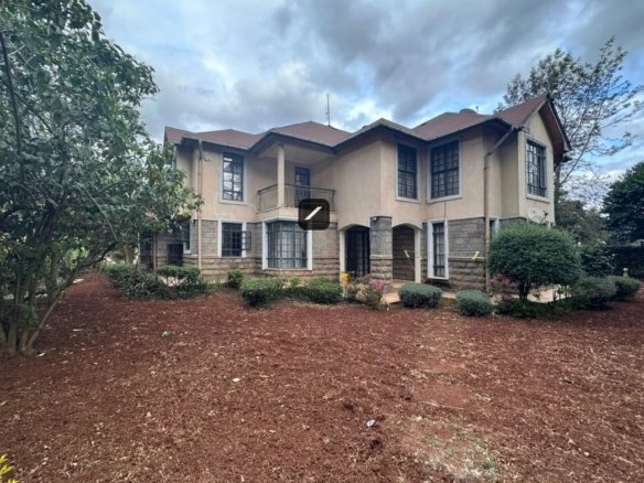 Imgi 2 WhatsApp Image 2023 11 08 at 20.28.23 1 1170x785