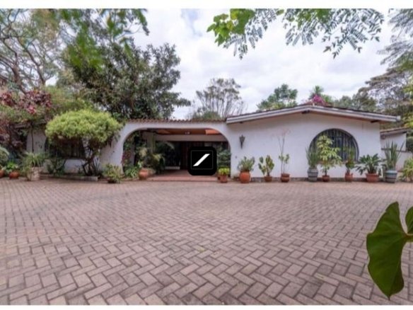 Imgi 2 WhatsApp Image 2024 02 14 at 10.03.37