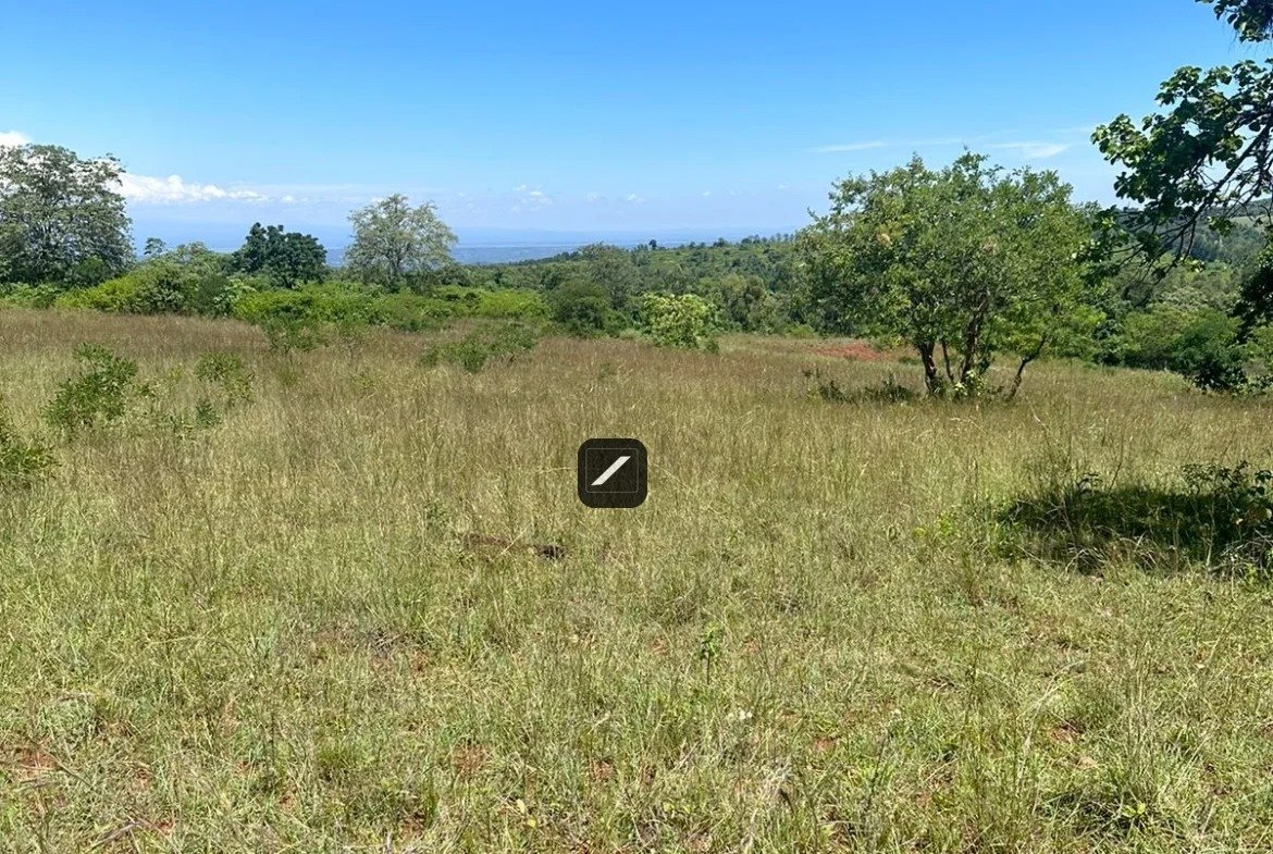 imgi_2_WhatsApp-Image-2024-02-15-at-10.47.53-1-1170×785