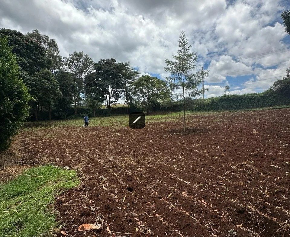 imgi_2_WhatsApp-Image-2024-03-14-at-15.13.07-1-960×785