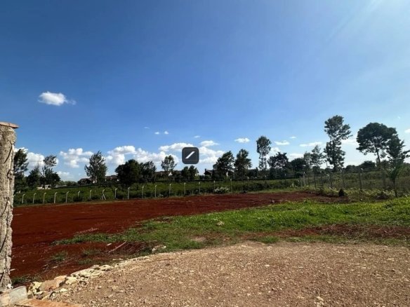 Imgi 2 WhatsApp Image 2024 03 14 at 21.32.01 960x785