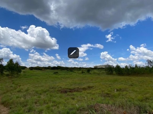 Imgi 2 WhatsApp Image 2024 03 27 at 16.25.27 1 1170x785