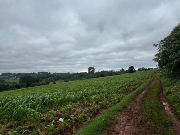 Imgi 2 WhatsApp Image 2025 05 13 at 3.28.58 PM 960x785 (1)