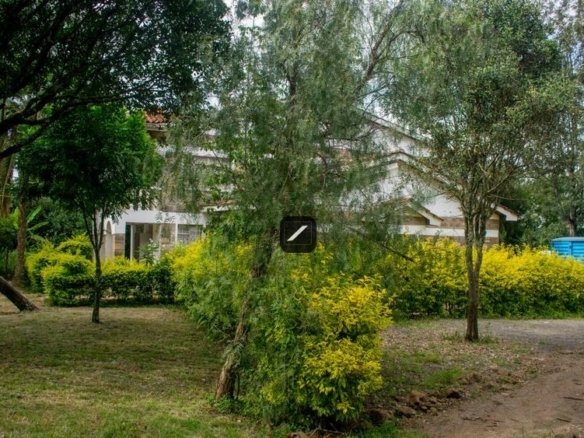 Imgi 2 fbfd591e c632 4837 8432 2d7982f5195d