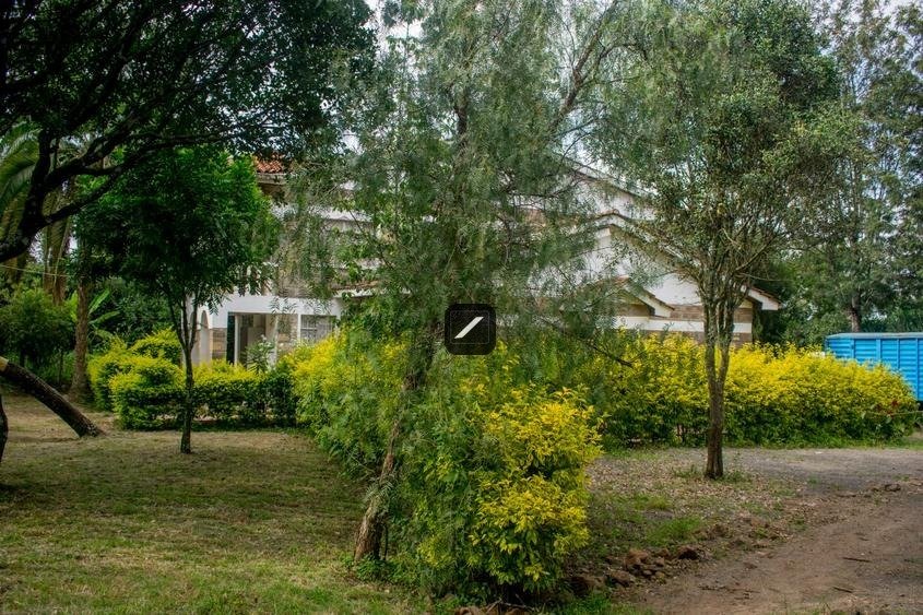 imgi_2_fbfd591e-c632-4837-8432-2d7982f5195d