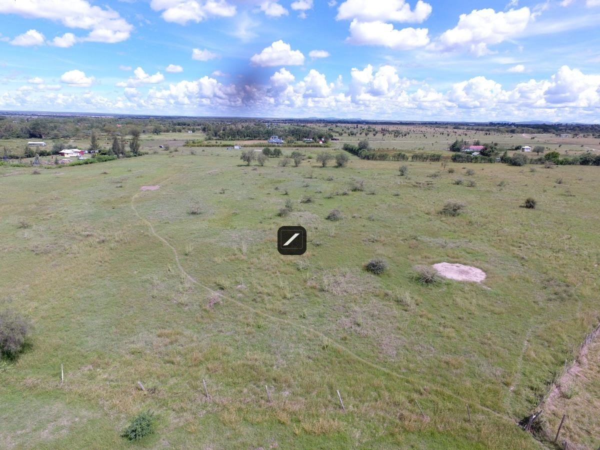 imgi_30_db8c6ed5-37da-4b1c-a41a-83d2b18a7c84