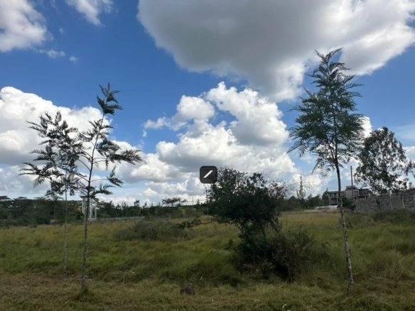 Imgi 33 WhatsApp Image 2024 03 26 at 16.20.54 7 960x785