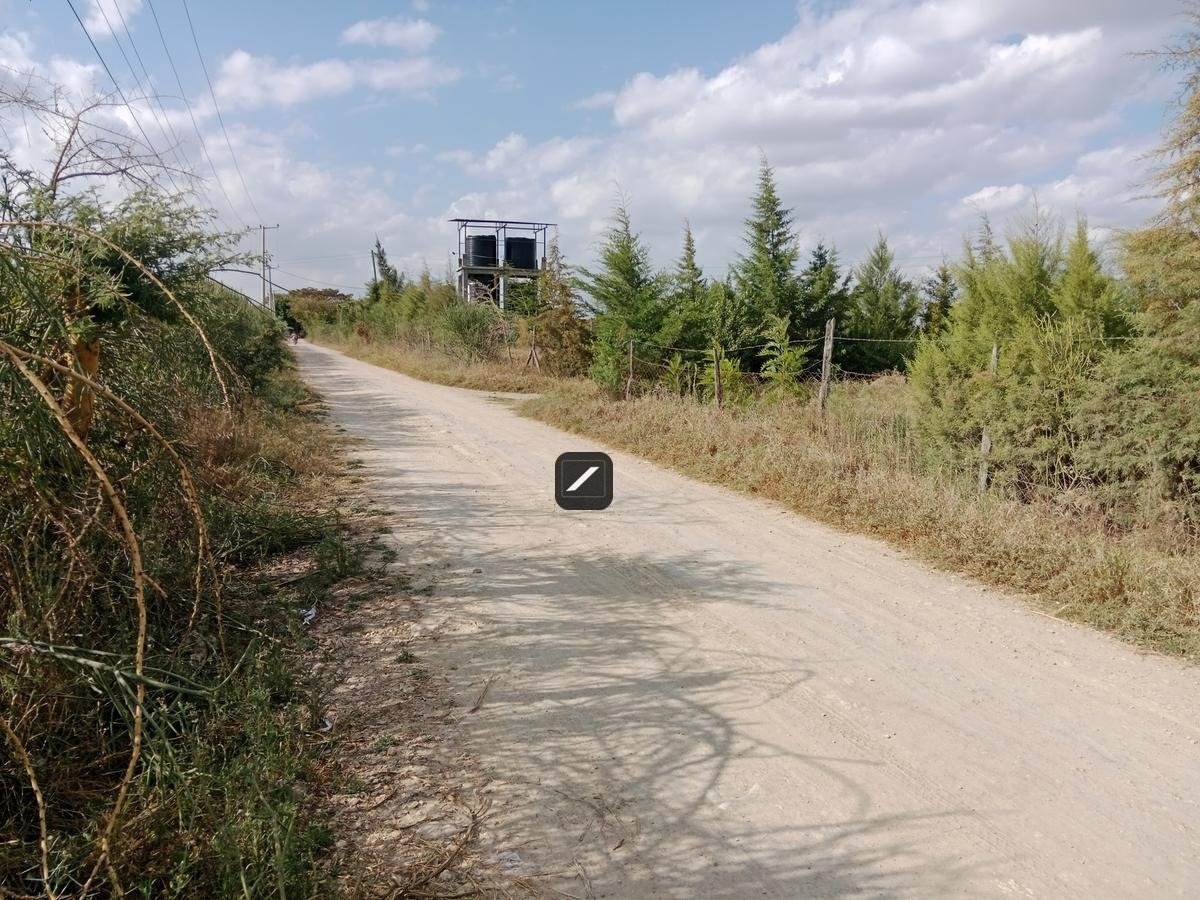 imgi_37_5b35748f-ab02-42d2-8477-6e5f9a222825