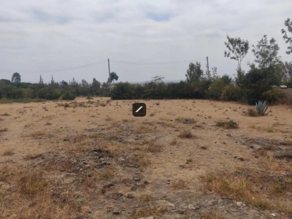 Imgi 3 WhatsApp Image 2023 08 25 at 21.51.42 1 1170x785