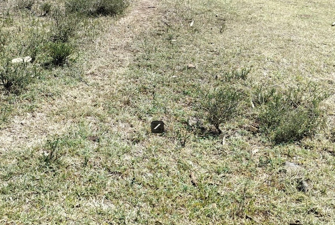 imgi_3_WhatsApp-Image-2023-10-19-at-11.37.11-1-1170×785