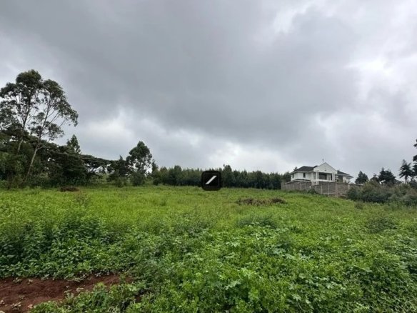 Imgi 3 WhatsApp Image 2024 01 19 at 13.00.50 1 768x785