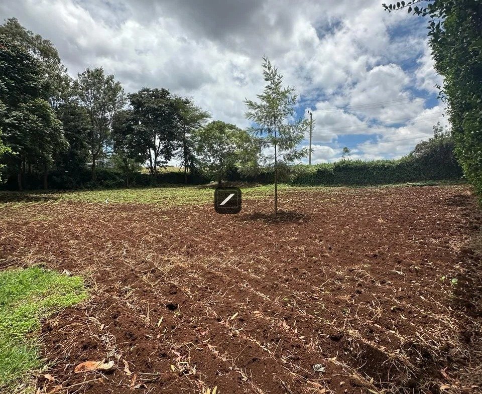 imgi_3_WhatsApp-Image-2024-03-14-at-15.13.07-2-960×785