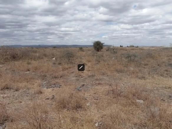 Imgi 3 WhatsApp Image 2024 04 17 at 21.09.13 1170x785