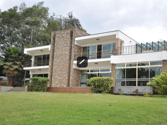 Imgi 42 cffdfbe6 28ec 4a43 bfdc a01a9ab10498