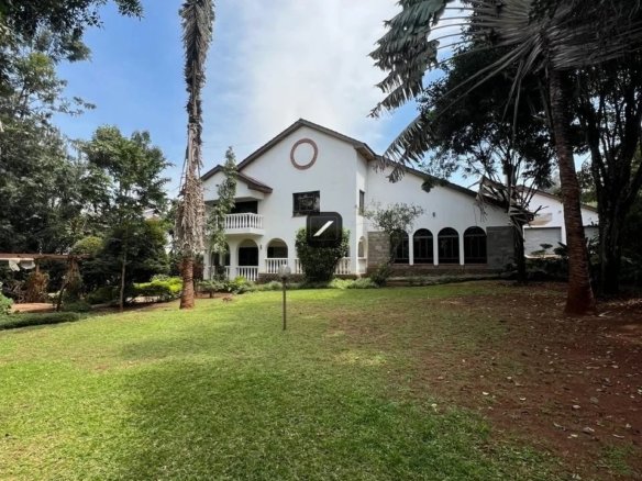 Imgi 43 WhatsApp Image 2024 07 02 at 13.57.10 1 960x785