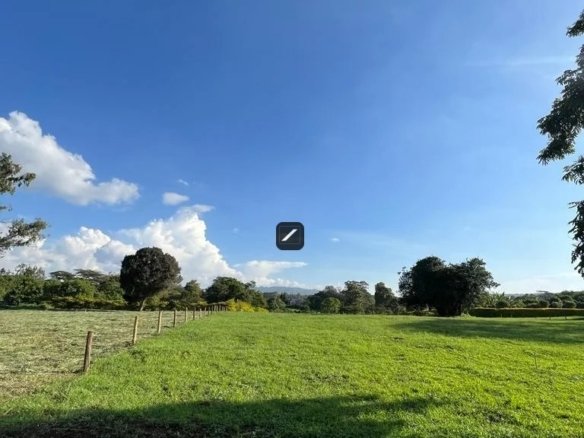 Imgi 4 WhatsApp Image 2023 05 06 at 10.18.47 768x785