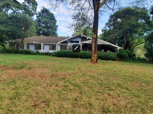 Imgi 4 WhatsApp Image 2023 05 18 at 19.33.09 1170x785