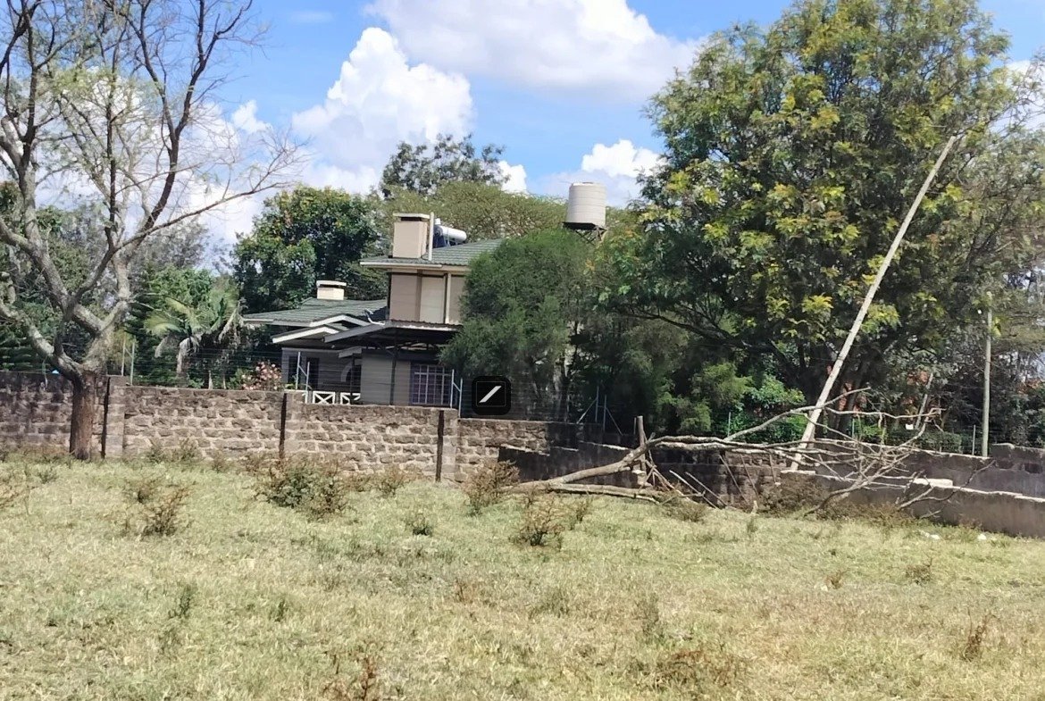 imgi_4_WhatsApp-Image-2023-10-19-at-11.37.11-1170×785