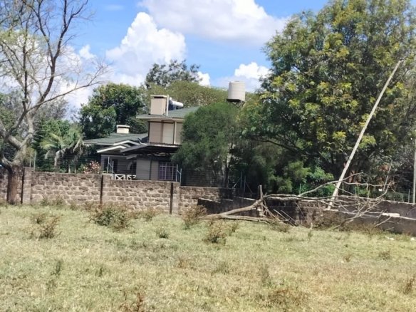 Imgi 4 WhatsApp Image 2023 10 19 at 11.37.11 1170x785