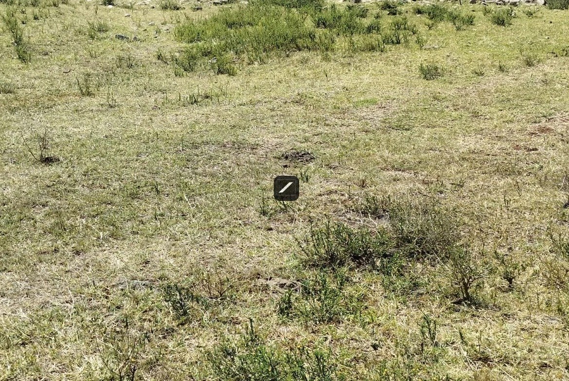 imgi_4_WhatsApp-Image-2023-10-19-at-11.37.12-1170×785