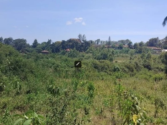 Imgi 4 WhatsApp Image 2024 03 28 at 10.46.37 720x785