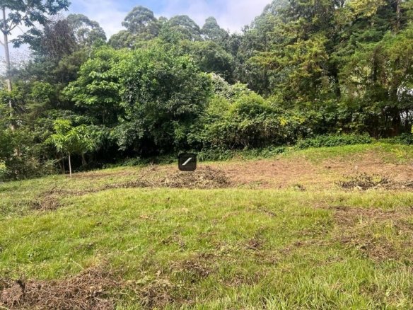 Imgi 4 WhatsApp Image 2024 05 09 at 10.14.13