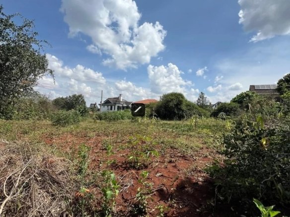 Imgi 4 WhatsApp Image 2025 03 19 at 12.38.45 PM2 960x785