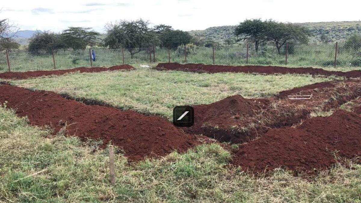 imgi_6_7ae51b97-35be-41ad-82b9-08bdb8429157