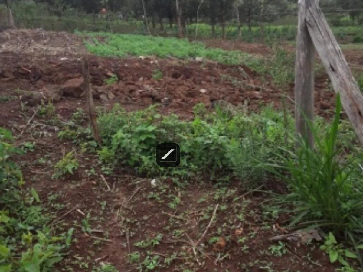 imgi_7_806514C0AFC49267DF765FC4321125DF