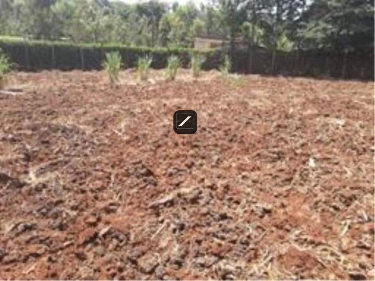 imgi_7_904AE8065756DD5247613E29F67AEB7E