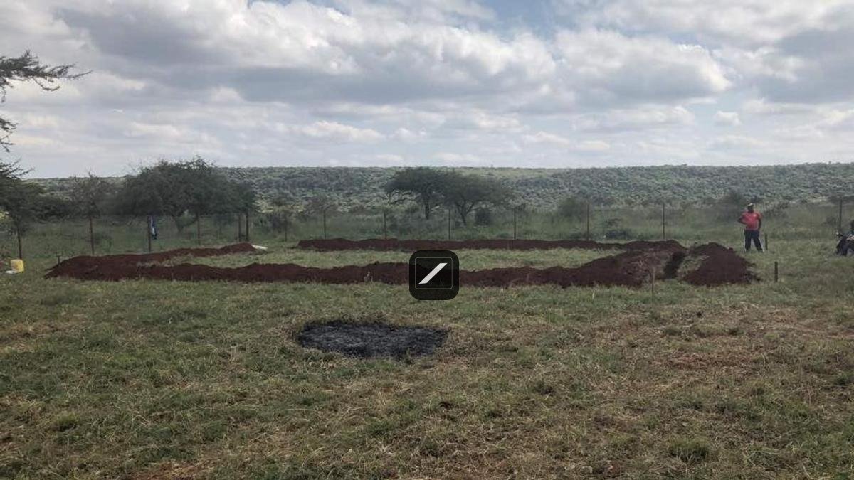 imgi_7_d19aaba1-03cc-4639-8ab3-963a4300deea