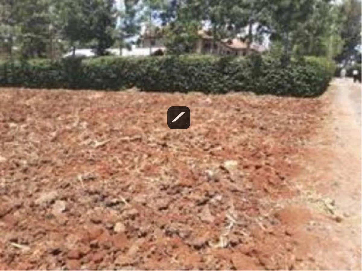 imgi_8_D9C7B44FC79994632C53AF2AF7FB26E5