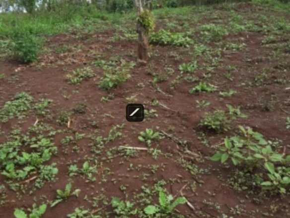 Imgi 8 F7A2B0AFEFB7847DCEDD45073CDEE1A7