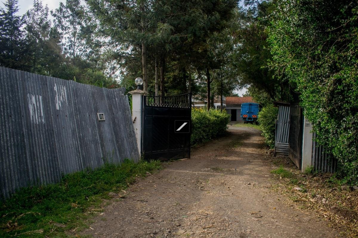 imgi_8_cf11fc9e-5dca-4a76-8632-1968c1b0d682