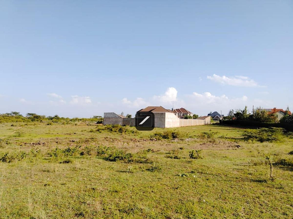 imgi_8_d635e3de-1262-430d-8b8f-d1bbf4e06de7