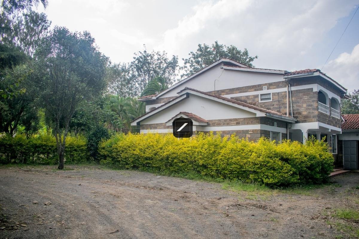 imgi_9_2932b1bc-36c3-4fac-b281-c42286f366ce