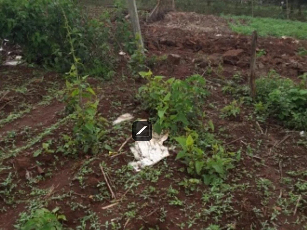 imgi_9_3A124B6CB961E62DD41892E0A06F2300